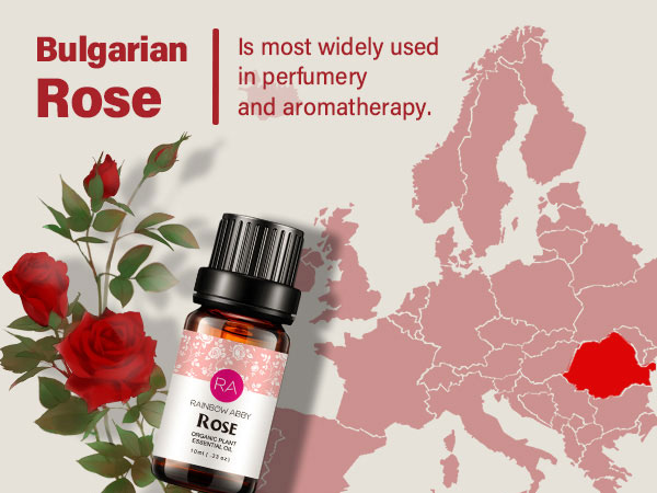 Happy pureローズ^ - ^ Amazon.com: Rose Essential Oil Pure Organic Rose Oil for