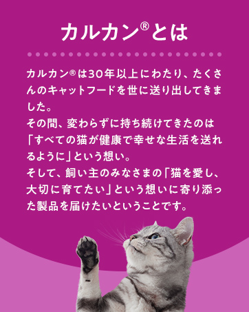 カルカン パウチ 6箱 / 1箱（16袋入）96袋 No.3770 カルカン パウチ 6箱 / 1箱（16袋入）96袋 No.3770 Amazon.co.jp:
