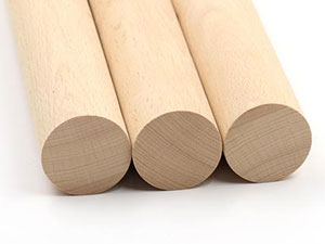 cockatiel playground