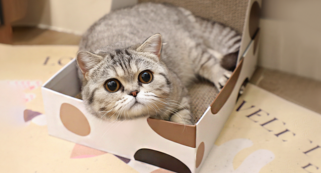 Large manufacture image 3