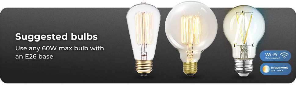 suggested bulbs