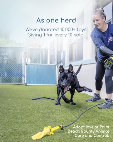 race and herd, flirt pole for dogs, tug a war, shelter donation, palm beach animal care and control