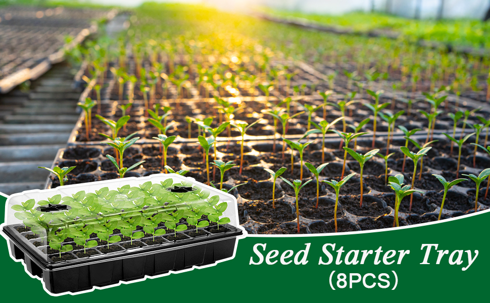seed starter tray