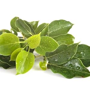 Small manufacture image 15