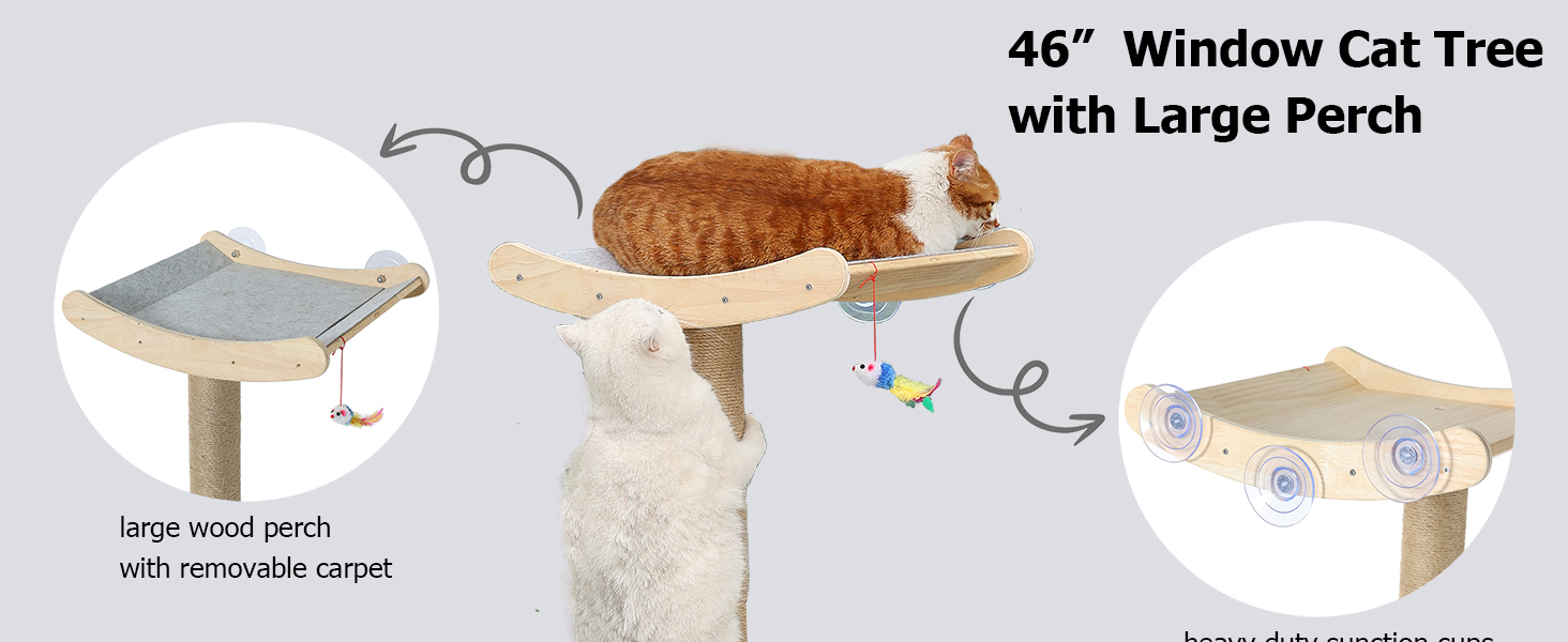 46" window cat tree with large perch