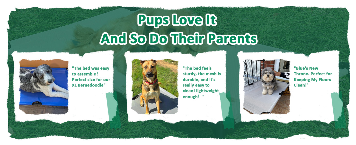 xl dog cot bed for extra large dogs