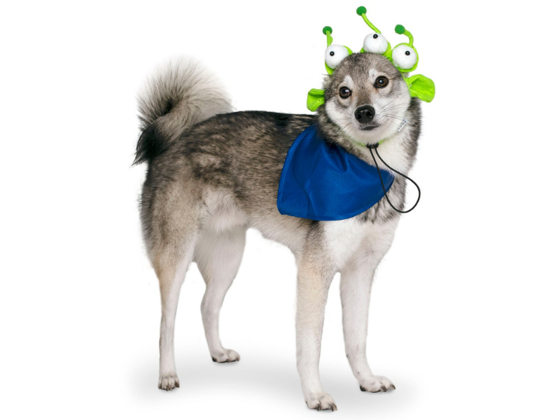 Midlee Alien Dog Headband Costume Pet Supplies