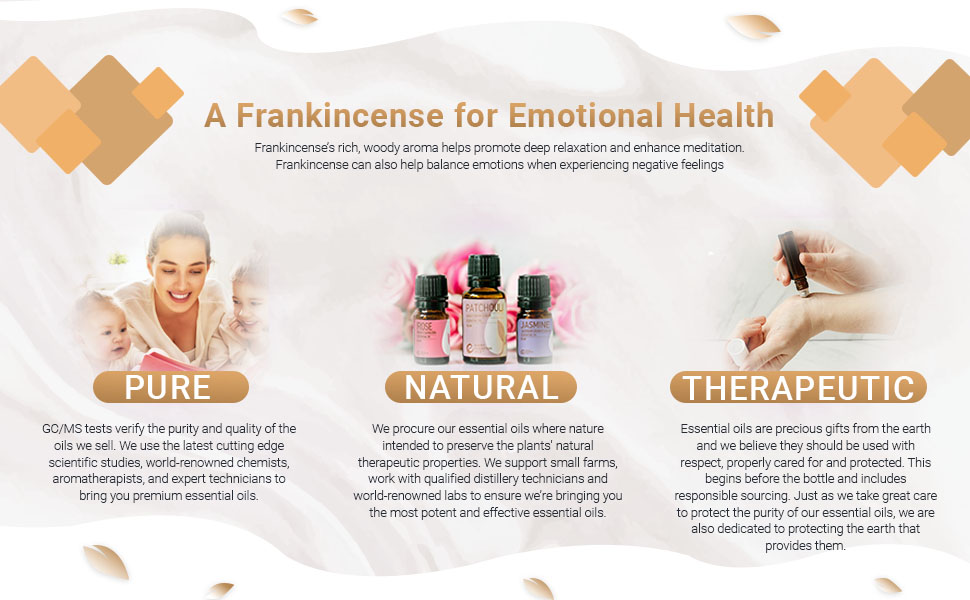 Sacred Frankincense Essential Oil - 4
