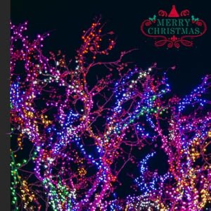 Christmas  light