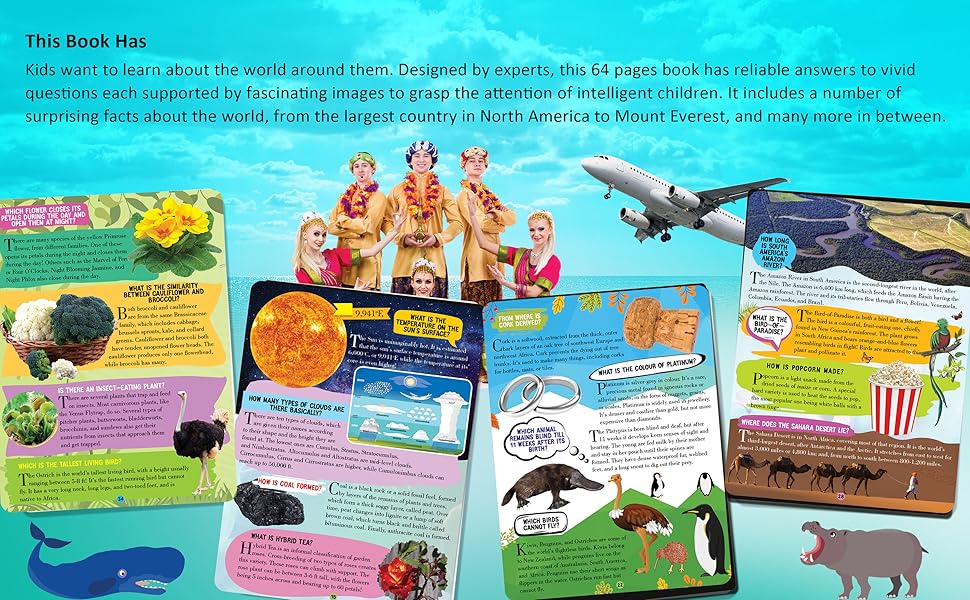 All About The World Encyclopedia, 9388371828