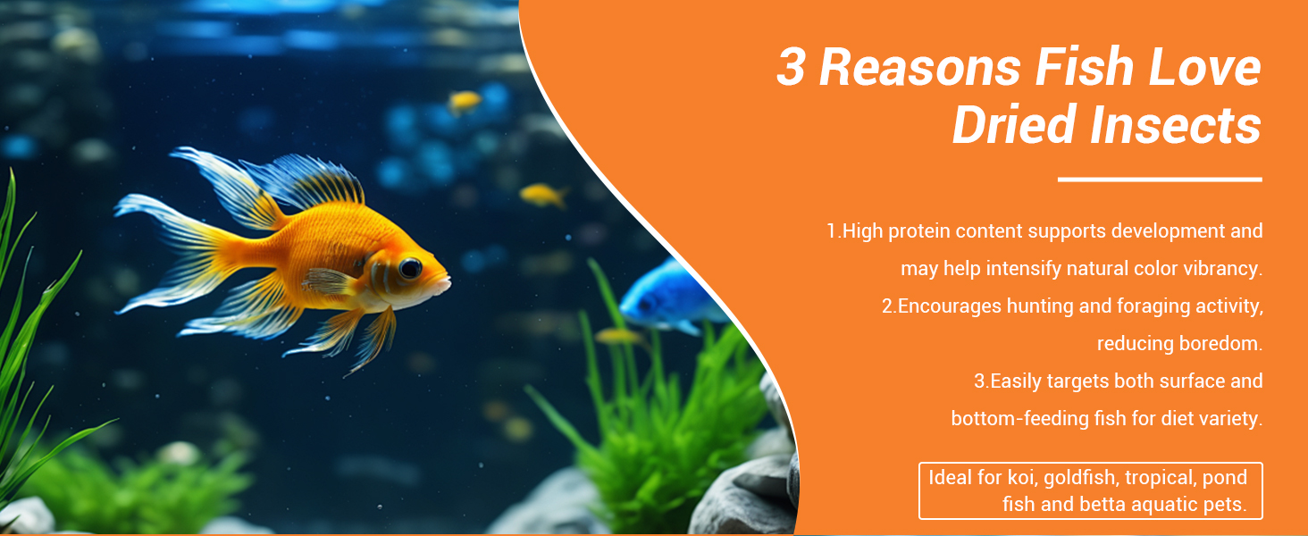 Why fish love Dried insects: high protein for color vibrancy and foraging in koi and goldfish