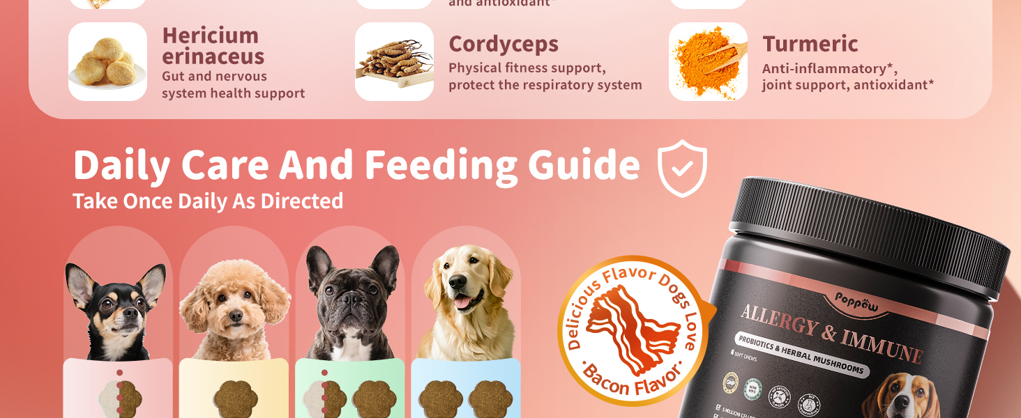 daily care and feeding guide