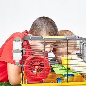 Guinea Pig Water Bottle