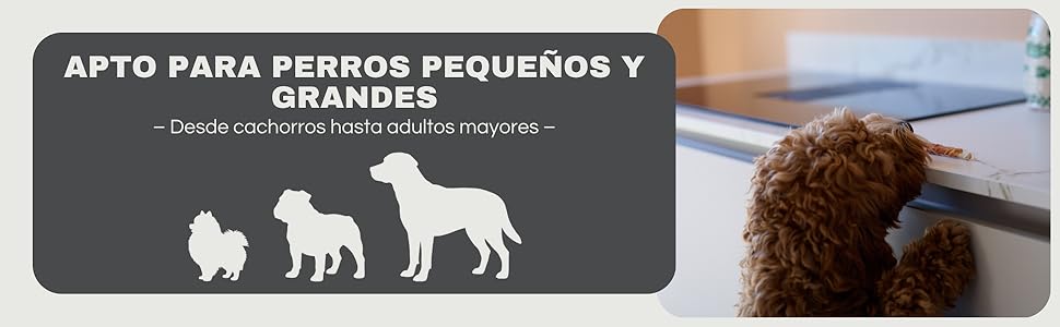 imagen de contenido adicional