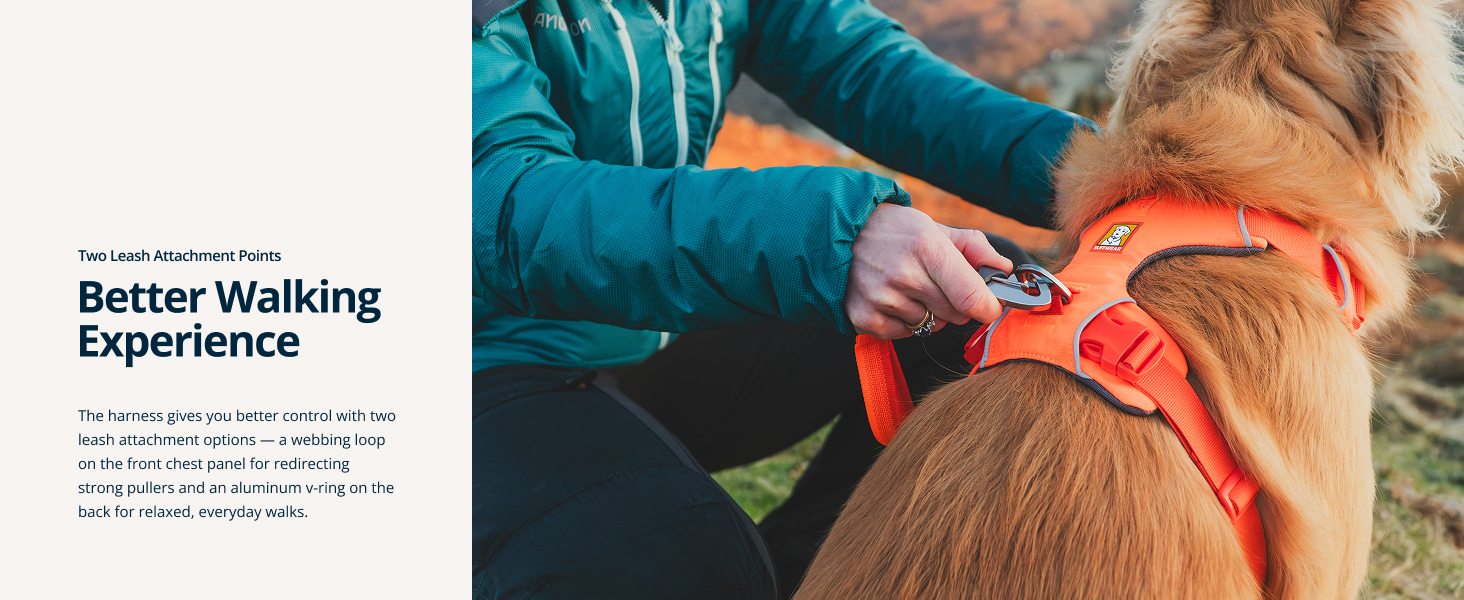 Adjustable dog harness no pull style with front clip to gently guide dogs during walks.