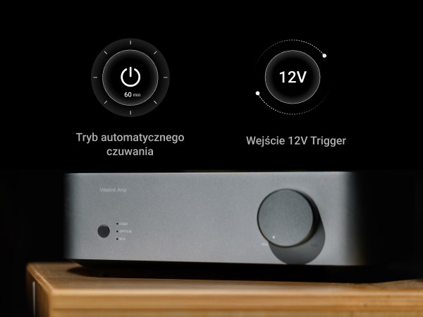 WiiM Vibelink Amp | Wzmacniacz 100W z wysokiej klasy DAC ESS