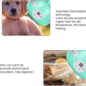 Poultry Heat Lamp