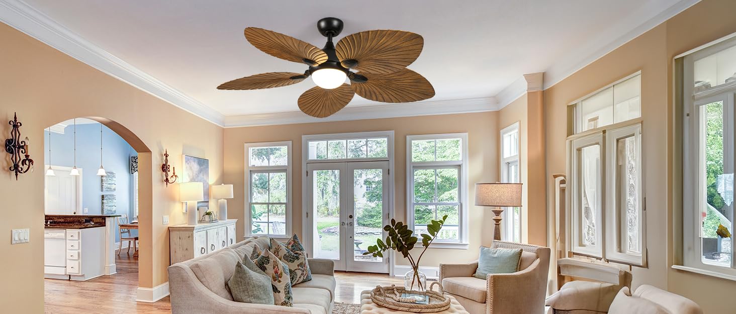 ceiling fan with light
