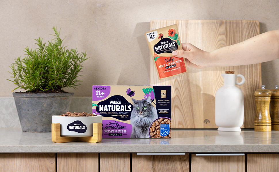 box Naturals Complete Senior (11+) Wet Cat Food, 60 x Meat & Fish in Jelly Variety Pack