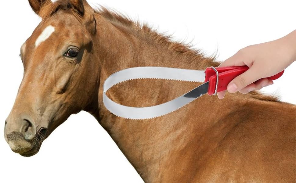 Horse Shedder Scraper Stainless Steel Horse Sweat Scraper Horse
