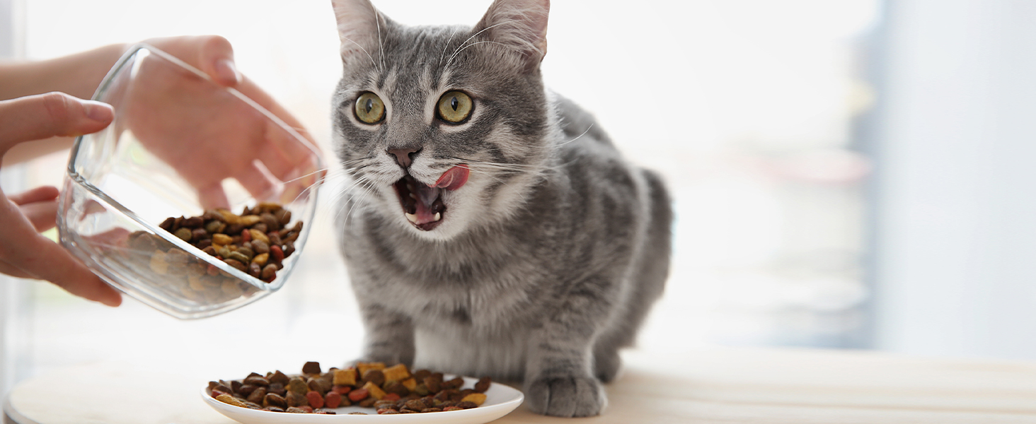 Electonic scales for pets food easy to use clean read