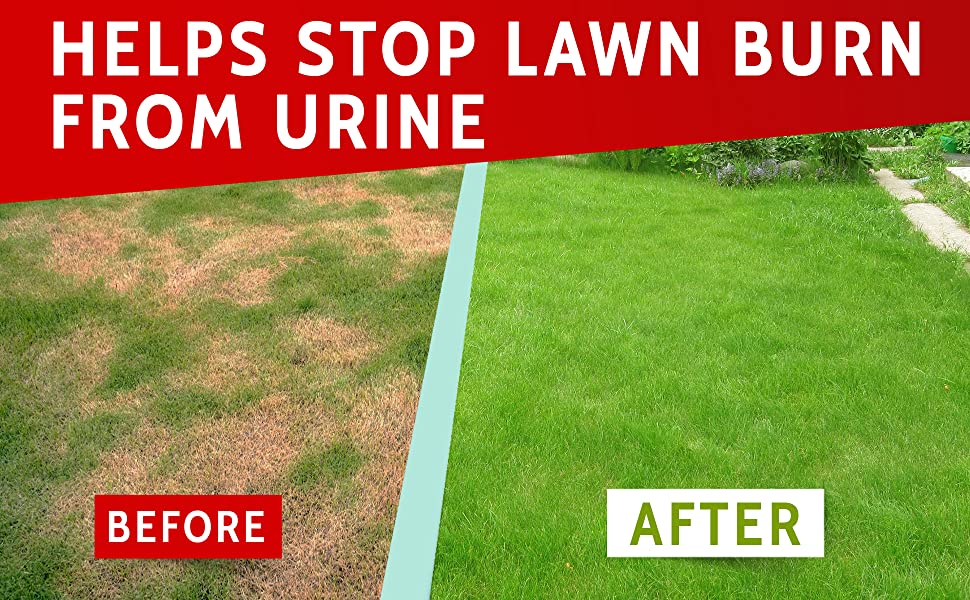 PAWFECTCHEW Dog Pee Grass Helper Grass Treatment for Dog Urine Dog