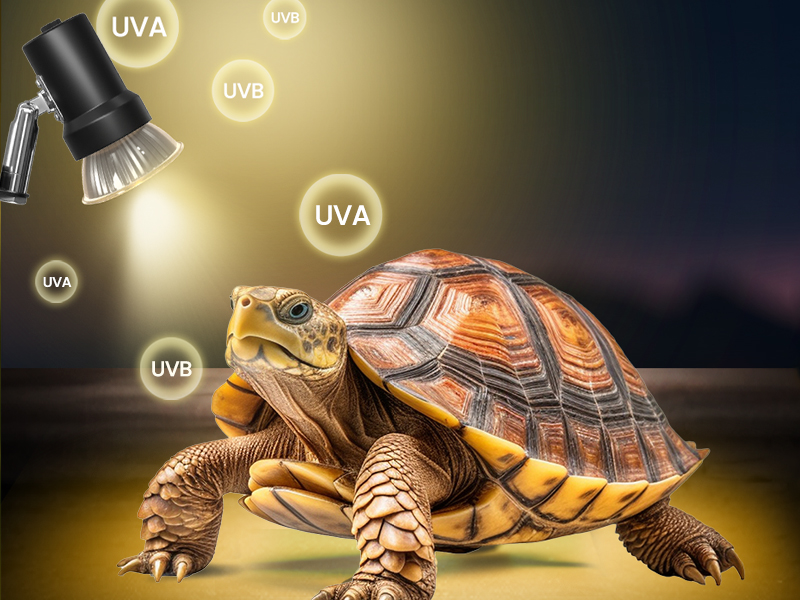 E27 UVA UVB Lampe Terrarium 75W