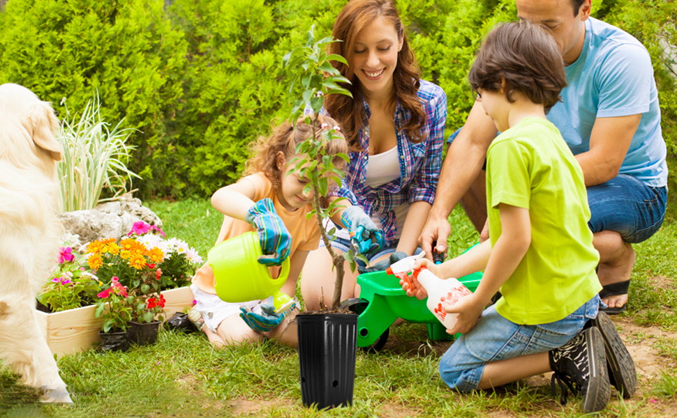 CLSR2U Tree Pots 30Pack, Planter Nursery Pots, Gardening Pots, Tall Plant Pot, Tree