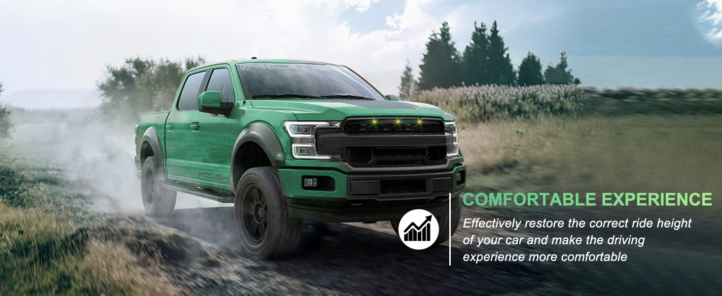 Complete Struts Assembly