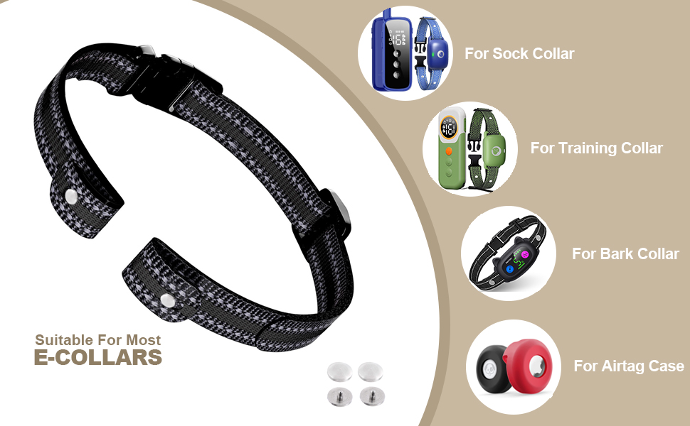 dog e collar replacement