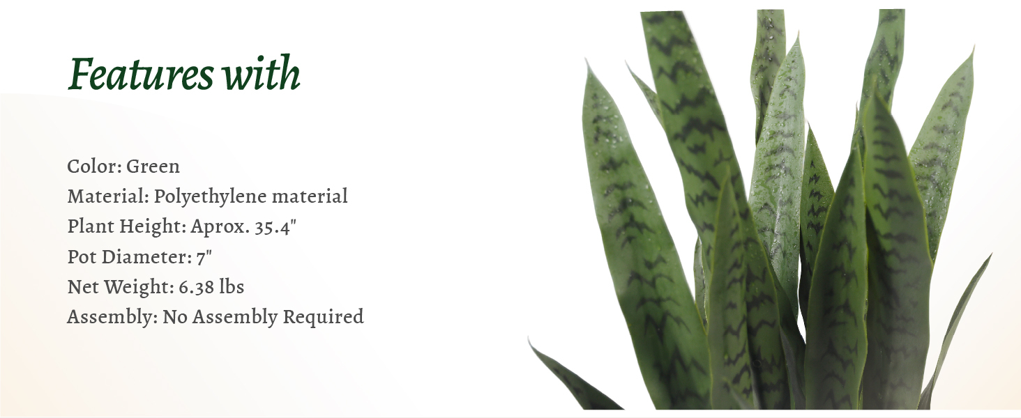 KOL Artificial Snake Plant