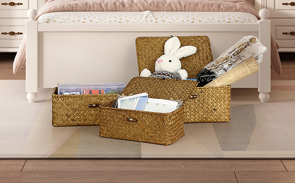 Hipiwe Wicker Shelf Baskets Bin with Lid, Set of 3