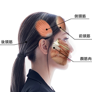 ゆうと　　電気バリブラシ Amazon.co.jp: 【公式】ELECTRON (エレクトロン) デンキバリ