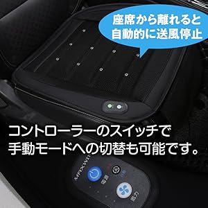 桜　シートクッション無し。 sakuranokoi_zk1210