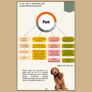 Pain response