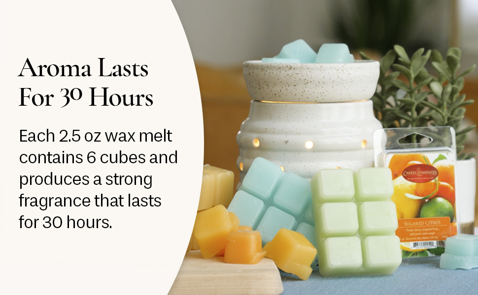 CANDLE WARMERS ETC Classic Wax Melts 2.5oz, Cinnamon Sticks Fragrance  (4-Pack) – Each Pack has x4 2.5 oz Wax Melts and 30 Hours of Fragrance –  Perfect