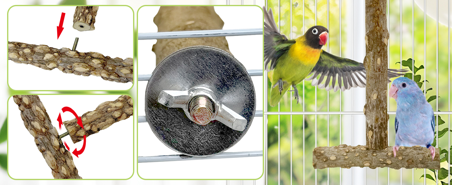 No tools needed. Bird chewing wood lets you easily arrange perches to bird preference