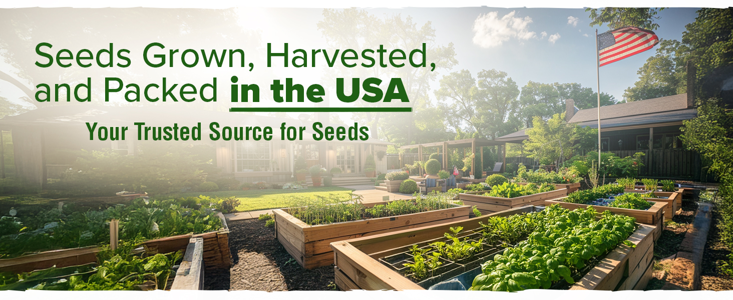 Large manufacture image 6