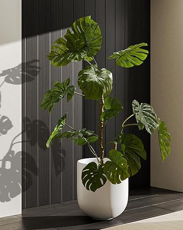 ceramic pots for plants
