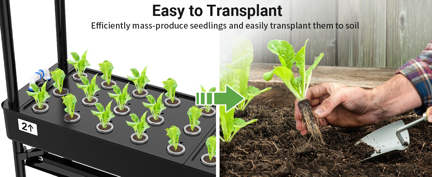 Easy to Transplant