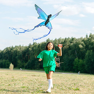 Kite Reel Winder Rutschfest