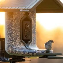 Small manufacture image 2