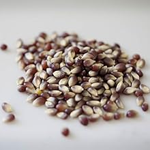 Small manufacture image 8