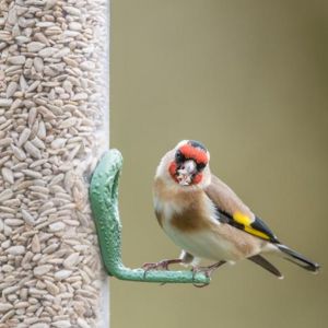 Small manufacture image 9