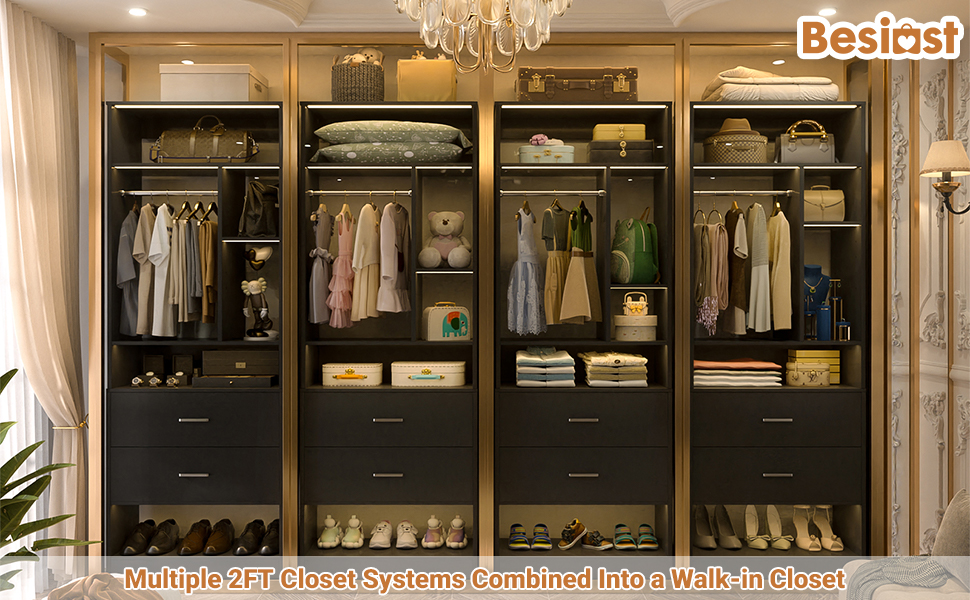 Besiost Freestanding 24" Closet System with 2 Wood Drawers