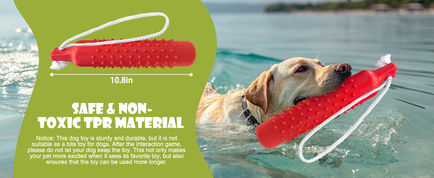Dog Float Bumper Toy