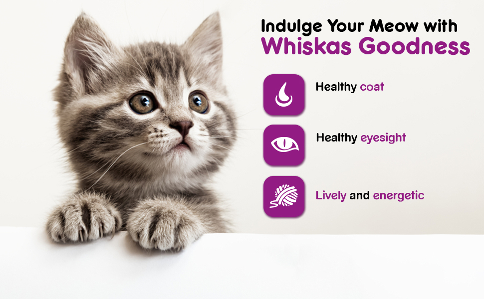 Buy Whiskas Adult (1+ Years) Dry Cat Seafood, Grilled Saba Flavour