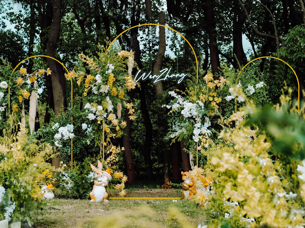 chiara backdrop stand set