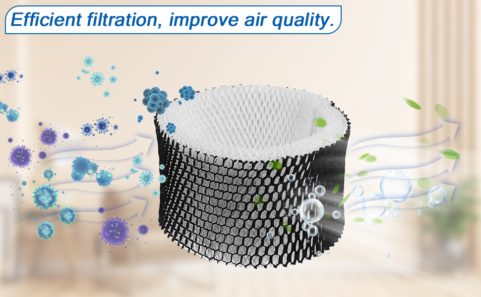 Leadaybetter Humidifier Filter Compatible with Holmes A