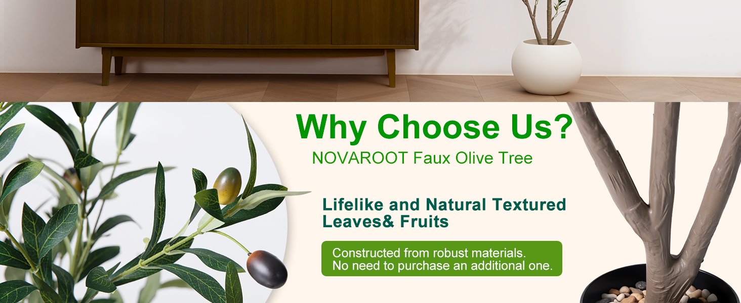 olive trees artificial indoor